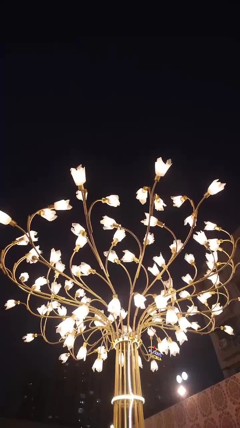 Bika Banquets celebration reel preview